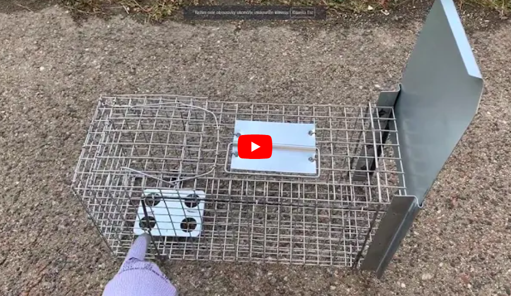 Snímka obrazovky 2025-08-03 o 12.08.57